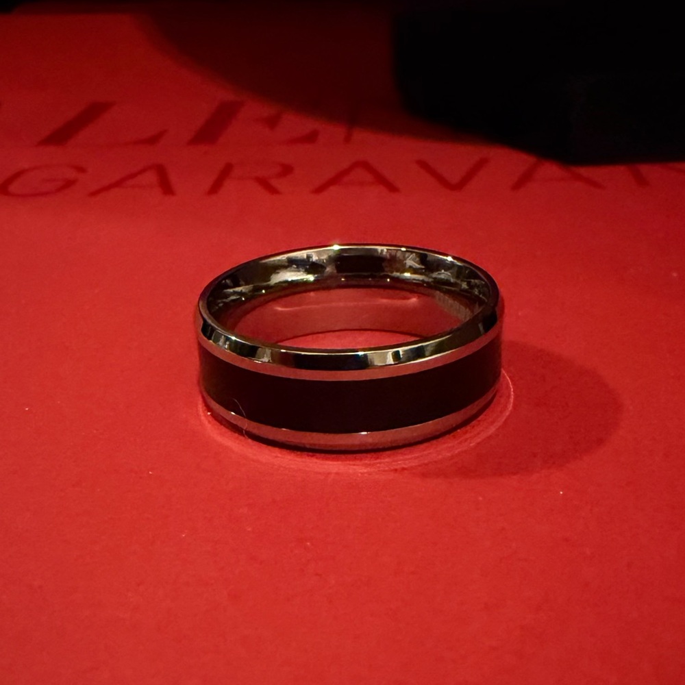 Titanium Men’s Band Ring with Shungite Accent